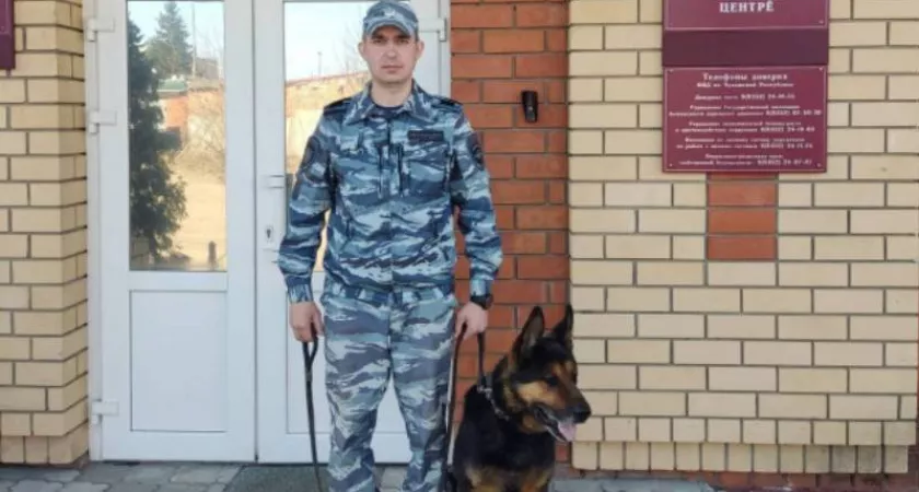 Фото к статье: Служебная немецкая овчарка помогла раскрыть кражу в Чебоксарах
