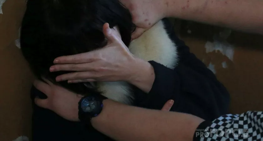 Фото к статье: Жителя деревни Торханы закрыли на 11 лет за убийство женщины