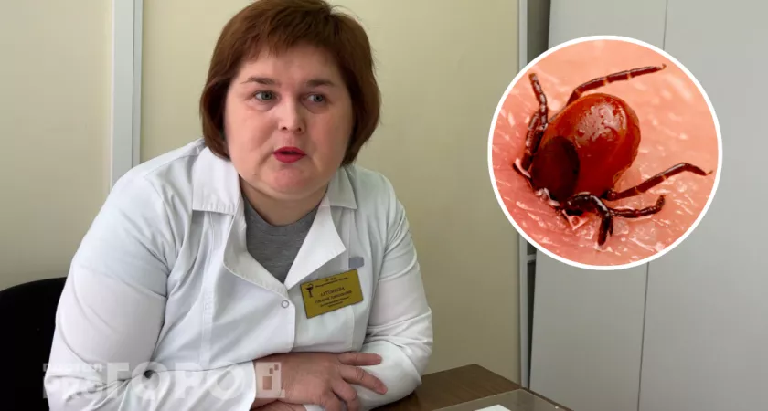 Фото к статье: Как не стать инвалидом после встречи с клещами в Чувашии: семь правил от врача