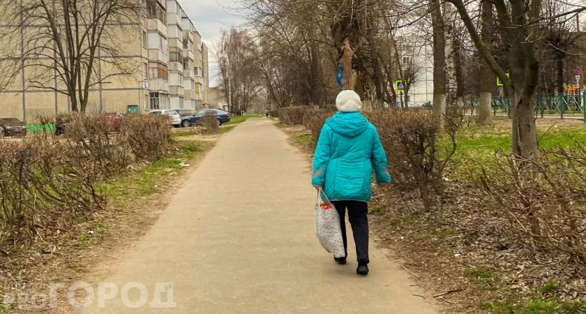 Фото к статье: Чебоксарка хотела разбогатеть на инвестициях, но чуть не осталась с долгом в 300 тысяч