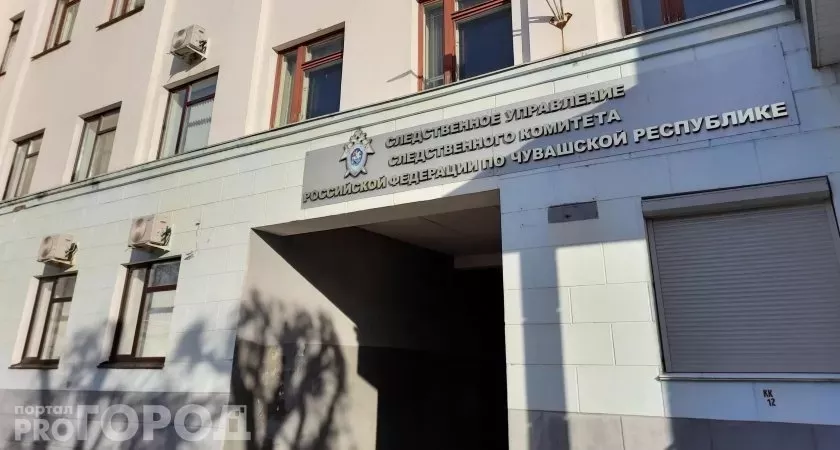 Фото к статье: Вынесен приговор женщине-убийце из Шумерли