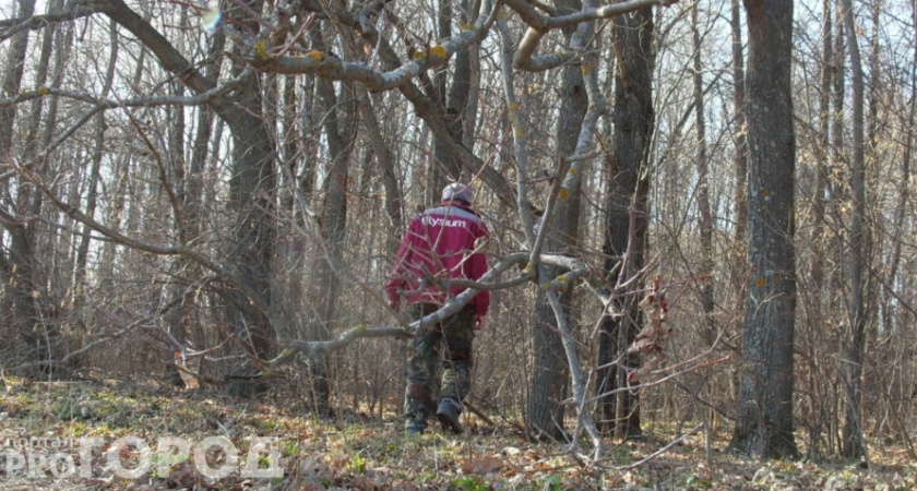 Житель Чувашии рубил лес в Заволжье на забор
