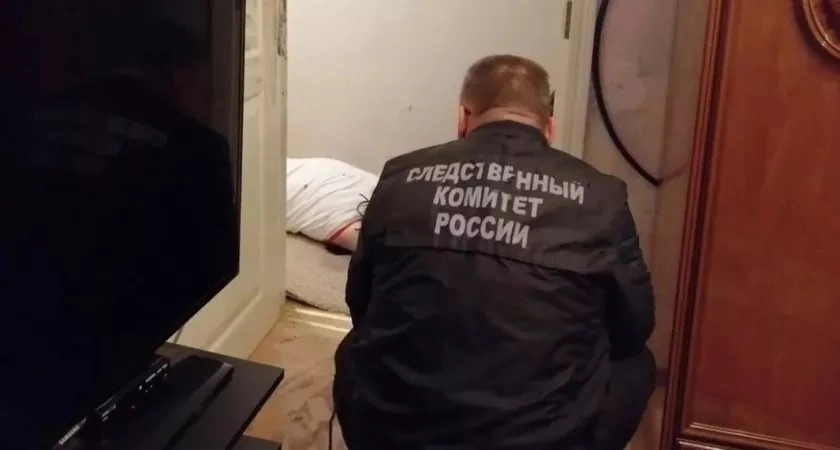 Фото к статье: В Чувашии женщина пришла в гости к родственнику, но его зарезали