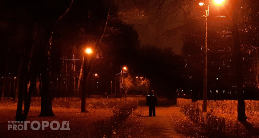 Чебоксарец вышел погулять с ротвейлером и ограбил человека: состоялся суд