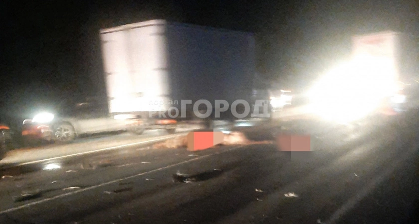Фото к статье: В Заволжье автомобилист сбил лосиху с лосенком