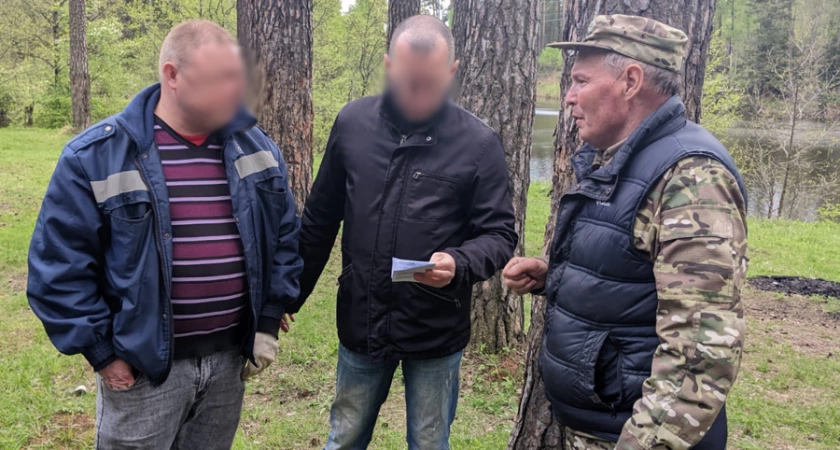 Фото к статье: Любителей шашлыков и пикников в лесах Заволжья ловят и штрафуют