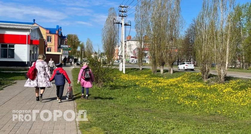 Фото к статье: Пятница порадует жителей Чувашии майским теплом
