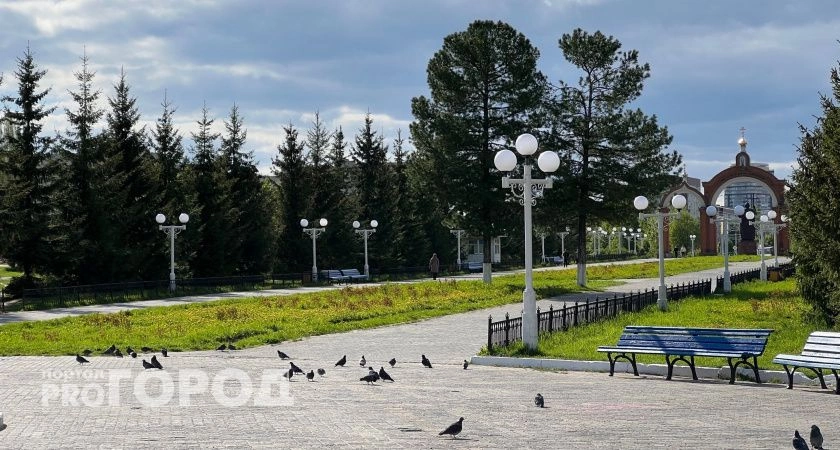 Фото к статье: Погода в Чувашии продолжит радовать жарой до +27 и в пятницу