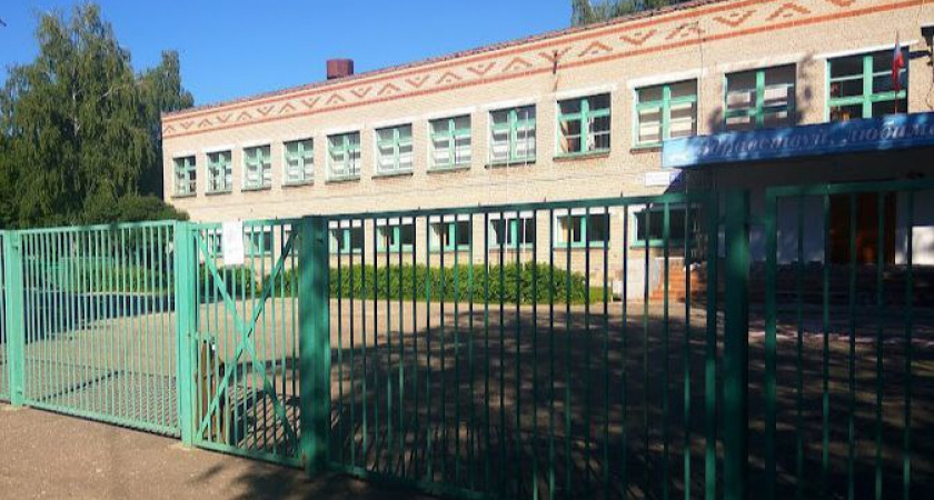 Минобразования высказалось по инциденту с агрессивной учительницей в Чебоксарах