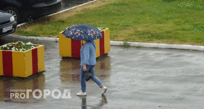 Потепление и гроза придут в Чувашию в пятницу