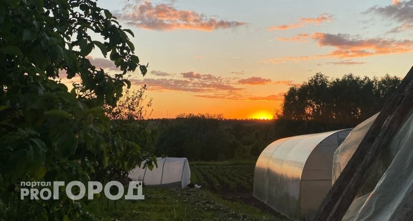Фото к статье: Синоптики Чувашии прогнозируют заморозки на почве