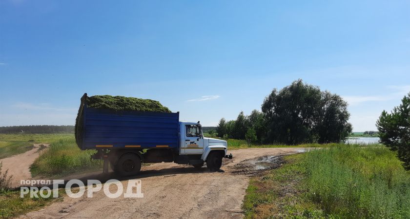 Из Чувашии в Татарстан тайно вывезли тонны кукурузы и удобрений