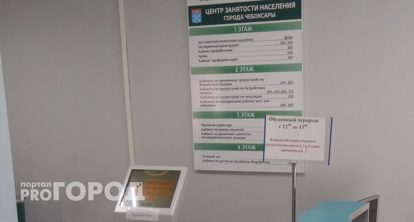 Чебоксарка выбила пособие по безработице и стала уголовницей