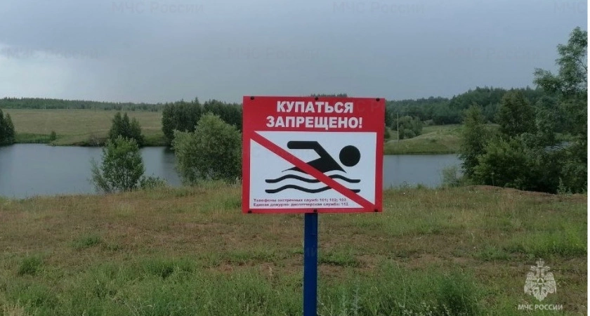 Фото к статье: 20-летний парень из Чебоксар утонул в деревенском пруду
