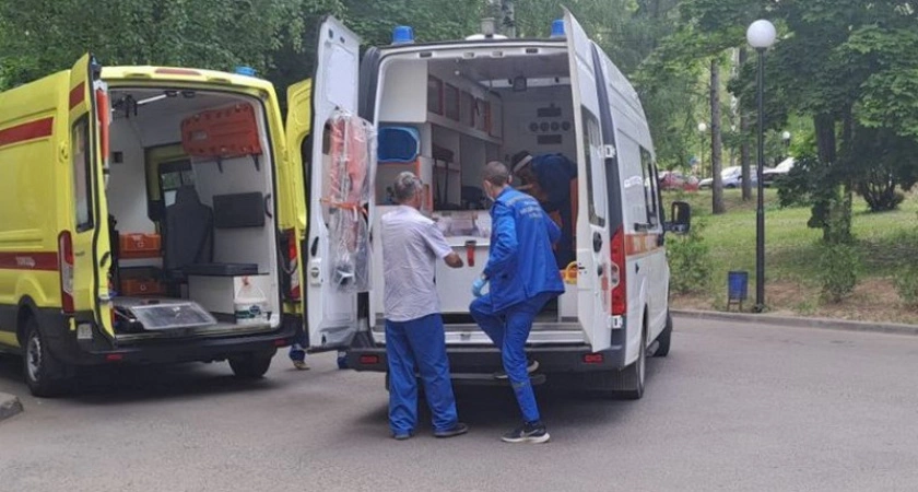 Фото к статье: В Чувашии стали массово падать с крыш и подвергаться нападению пчел