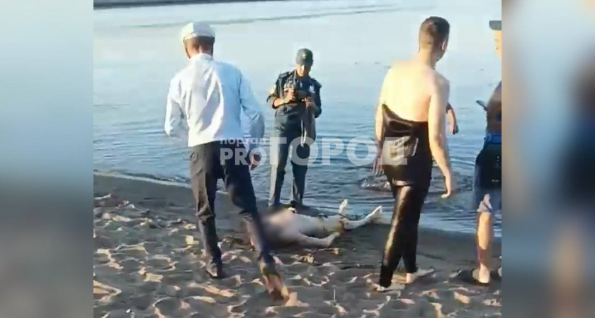 В Новочебоксарске на Волге утонул человек