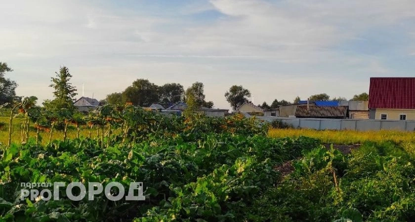 Фото к статье: Матери семерых детей отказали в пособии из-за наличия участка земли