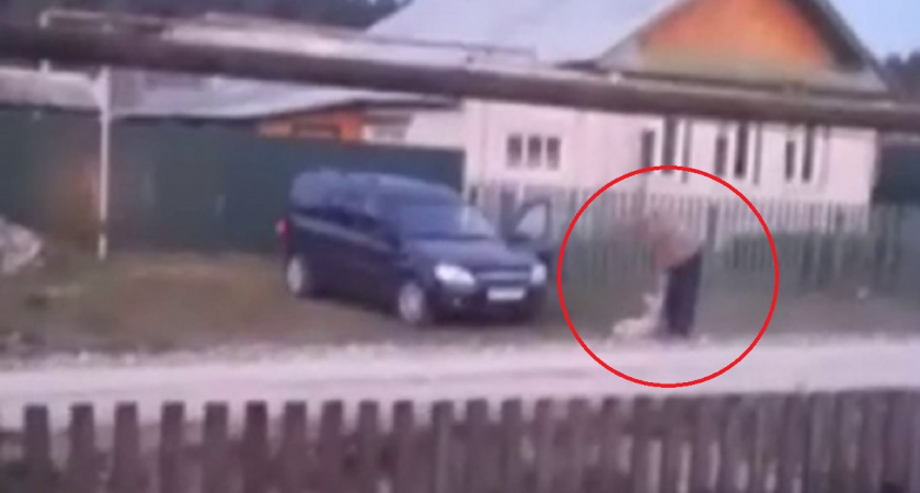 В МВД Чувашии прокомментировали видео, где мужчина со всей силы швырял собаку о землю