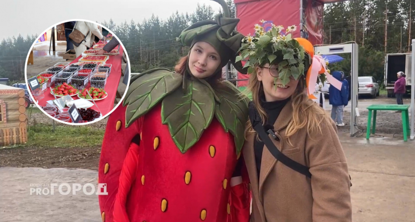Обзор первого в Чувашии ягодного фестиваля с надувным самоваром: какие цены и развлечения 