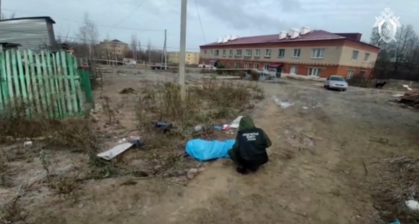 Фото к статье: 33 года тюрьмы на двоих получили парни из Чувашии за издевательское убийство