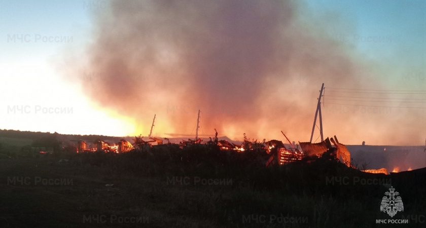 Ночью в Янтиковском районе сгорела конюшня