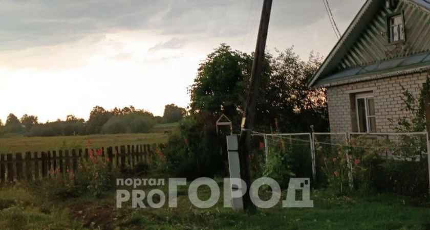Фото к статье: Ураганный ветер обесточил деревню в Чебоксарском районе