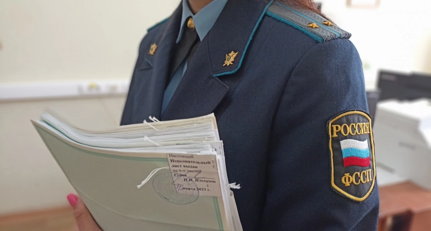 Фото к статье: В Чувашии приставы помогли отцу ребенка, который платил алименты, а сына не видел
