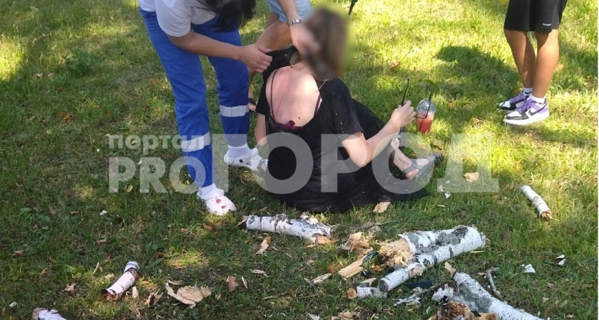 Фото к статье: В Вурнарах около стадиона "Химик" на женщину упала береза
