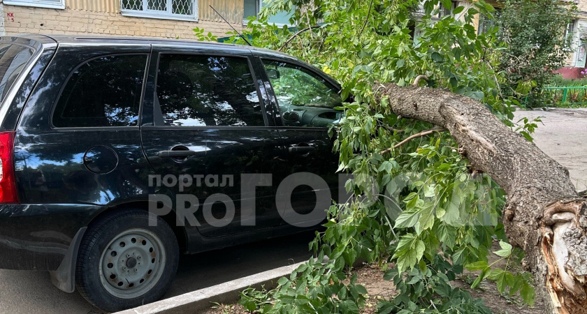 Ураганный ветер поломал деревья в Чебоксарах: последствия разбушевавшейся стихии