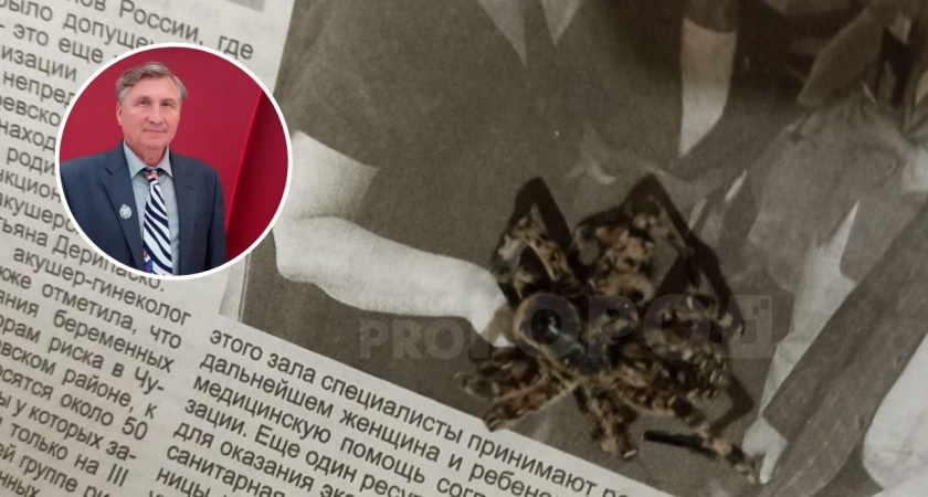 Ядовитый тарантул проникает в жилые дома Батыревского района: "Укус болезненный"