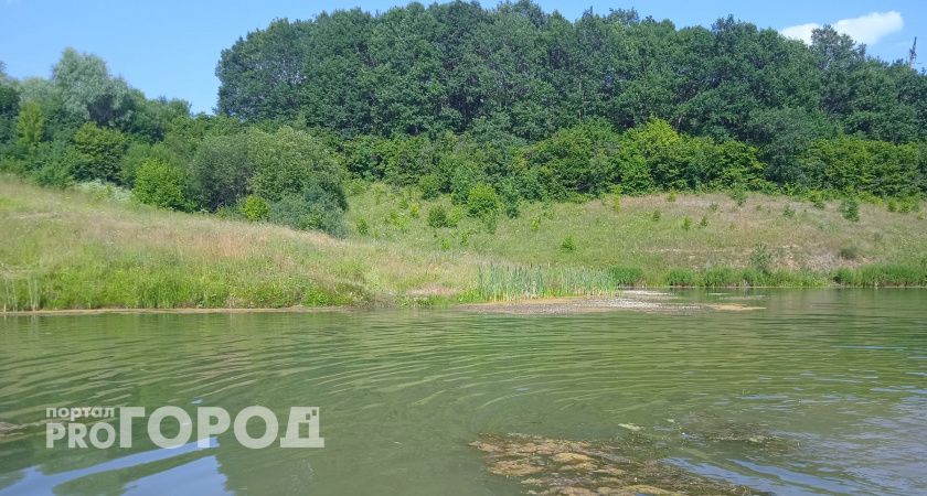 В пруду Лапсар нашли тело утонувшей девочки