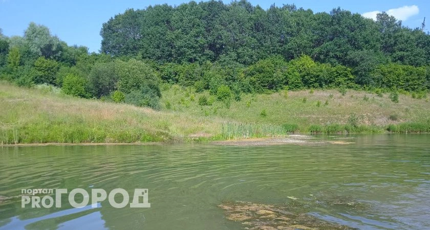 Фото к статье: В пруду Лапсар нашли тело утонувшей девочки