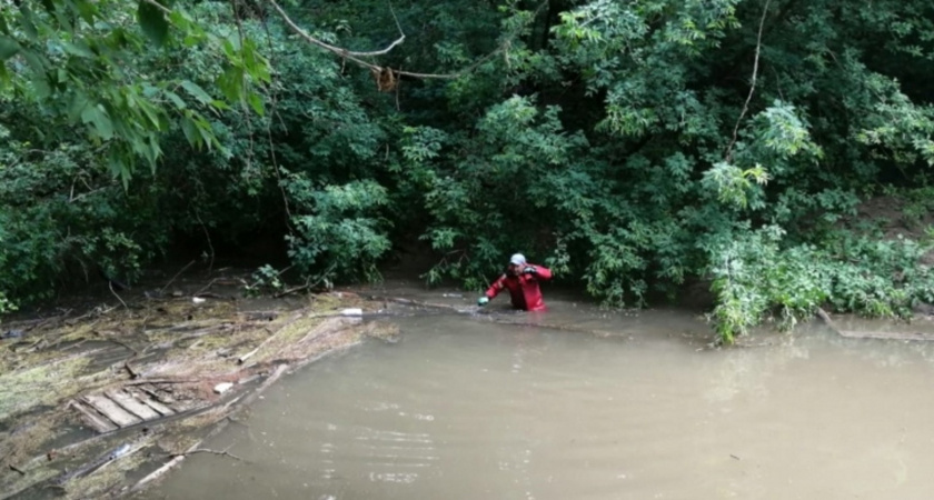 В Красноармейском районе в пруду утонул подросток