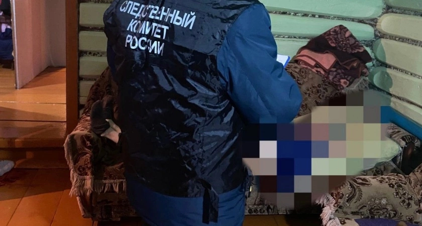 Фото к статье: Мужчина убил своего 33-летнего близнеца в Вурнарском районе