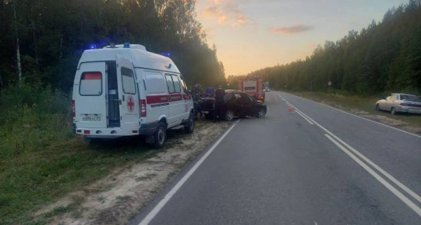Фото к статье: В Шумерлинском районе произошло смертельное ДТП