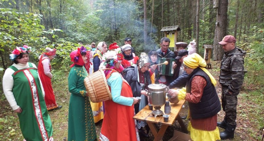 В Чувашии устроят грибной фестиваль с походом в лес, зажигательной дискотекой и угощениями