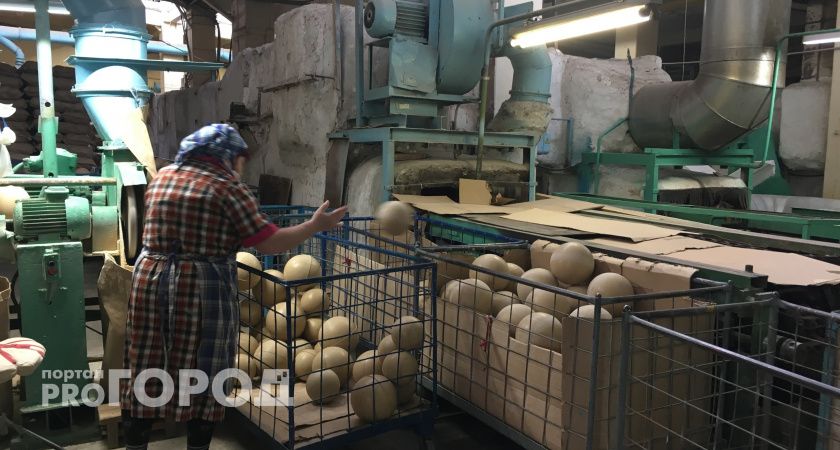 Названы самые популярные профессии в Чувашии за август 2023