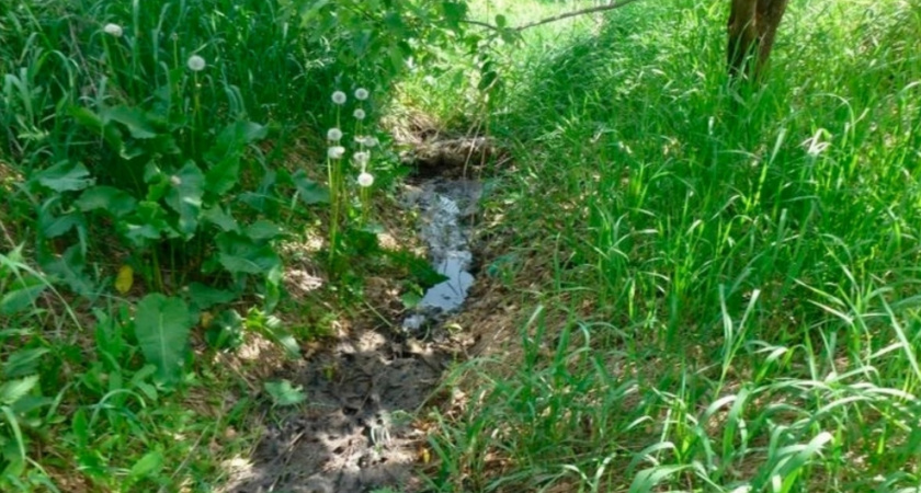 Житель Альгешево сливал в овраг канализационные воды и теперь должен государству более 1 млн рублей