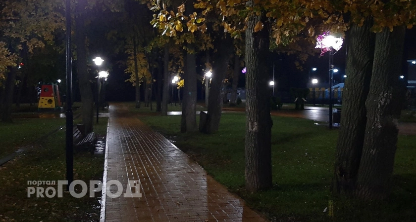 Фото к статье: Ночью в чебоксарском парке двое злоумышленников ограбили и избили мужчину