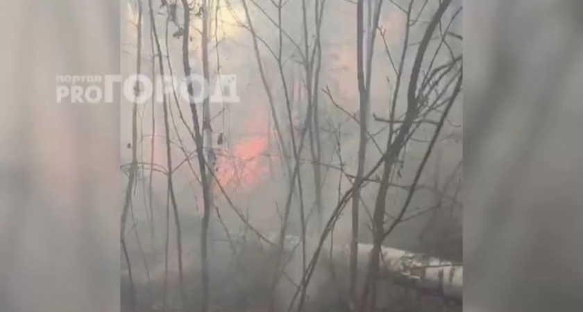 В Ибресинском районе загорелся лес