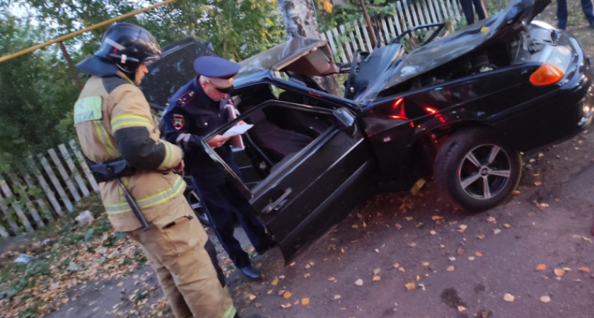 В Чувашии произошло смертельное ДТП: водитель "Лады" разбился о дерево