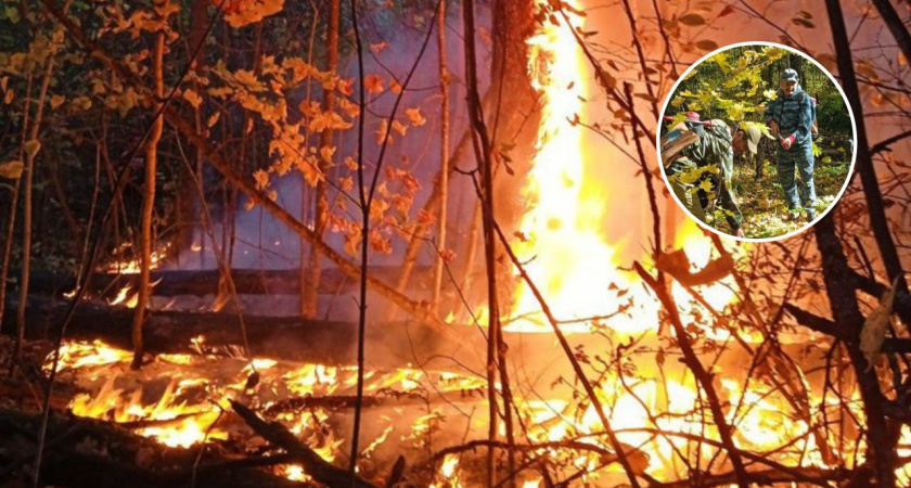 В Чувашии полсотни людей тушили два лесных пожара