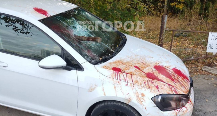 "Кровавый" Volkswagen с топором в лобовом стекле сбил человека около Чебоксар