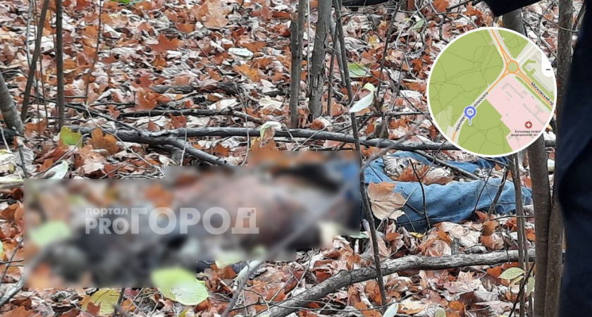 В Чебоксарах в лесу недалеко от БСМП нашли мумифицированное тело мужчины