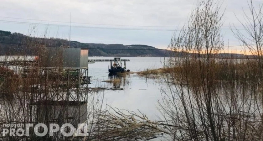 Фото к статье: Обмеление Волги объяснили специалисты: версии разошлись