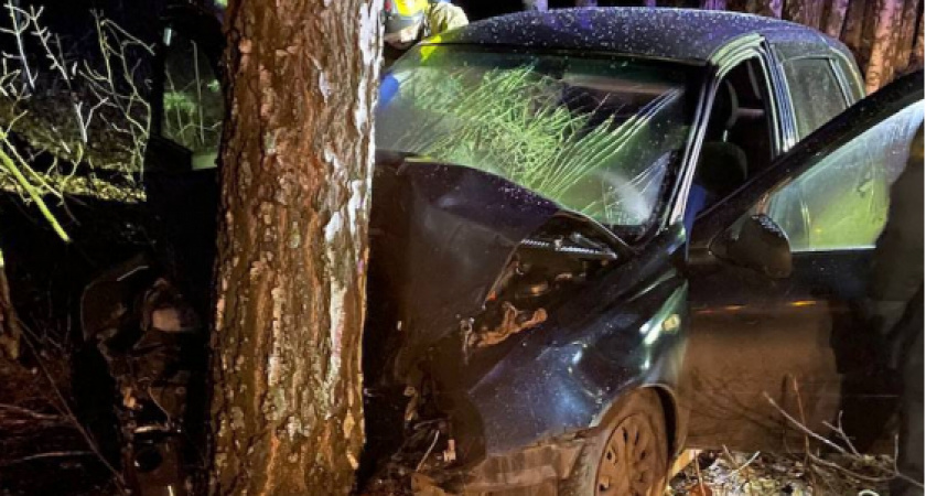 В Чувашии легковушка влетела в дерево, женщина за рулем погибла на месте