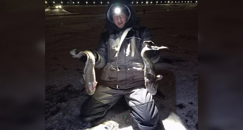 Сезон зимней рыбалки открыт: жители Чувашии делятся фотографиями своего улова 