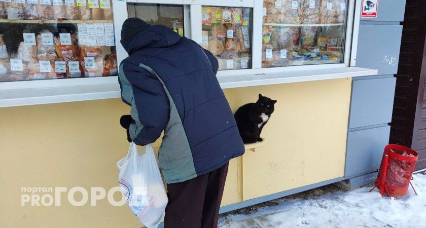 С нового года прожиточный минимум в Чувашии станет выше, чем в Татарстане, но ниже, чем в Марий Эл