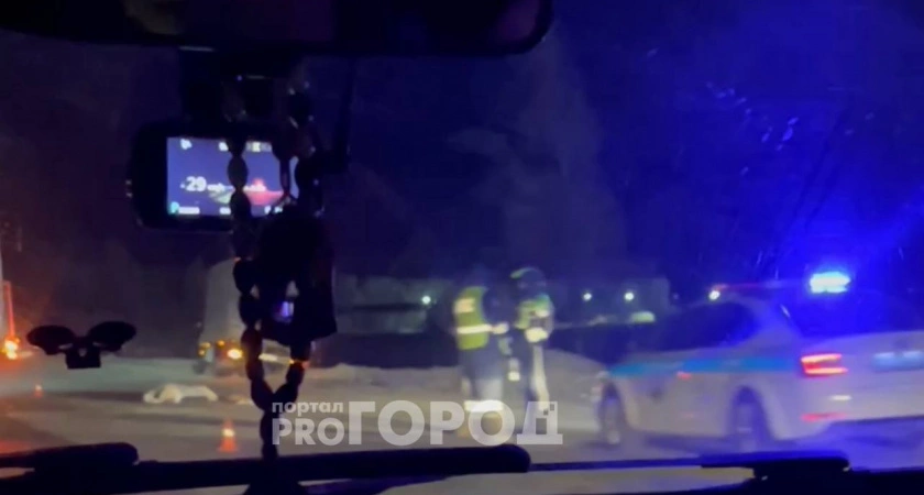 Фото к статье: Подробности смертельного ДТП на М7 в Чебоксарском районе: "Газель" сбила двух мужчин