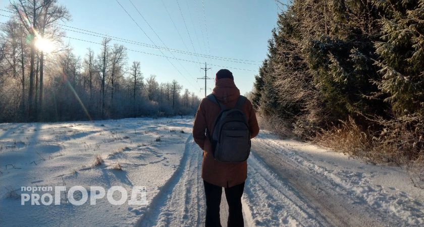 Фото к статье: Площадка для выгула собак, камеры, поле для мини-футбола: как преобразят Обиковский лес в Чебоксарах